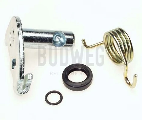 Repair Kit, parking brake lever (brake caliper)